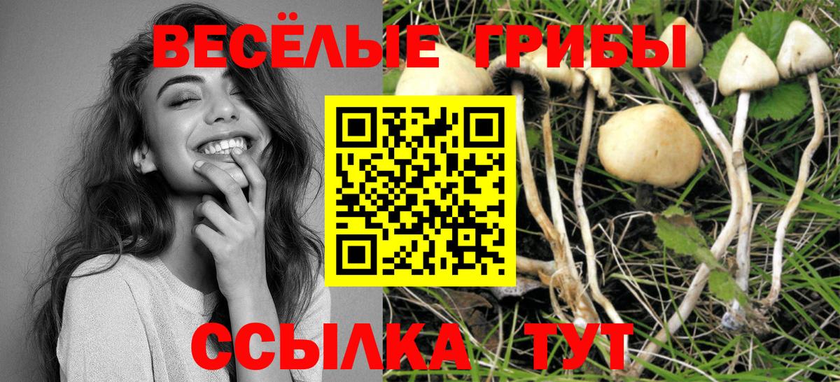 купить наркоту  Галлюциногенные грибы мицелий  Вход с VPN  Псилоцибиновые грибы мицелий  Еманжелинск 