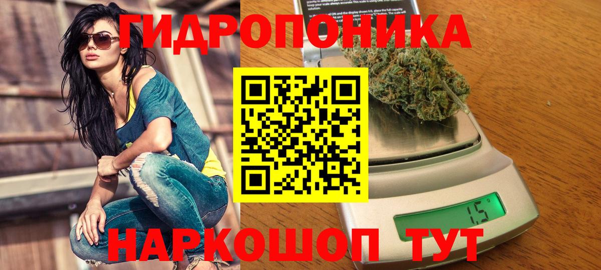 Еманжелинск  Канабис OG Kush  Вход с VPN  Марихуана гибрид  Бошки марихуана планчик  Шишки марихуана ГИДРОПОН 